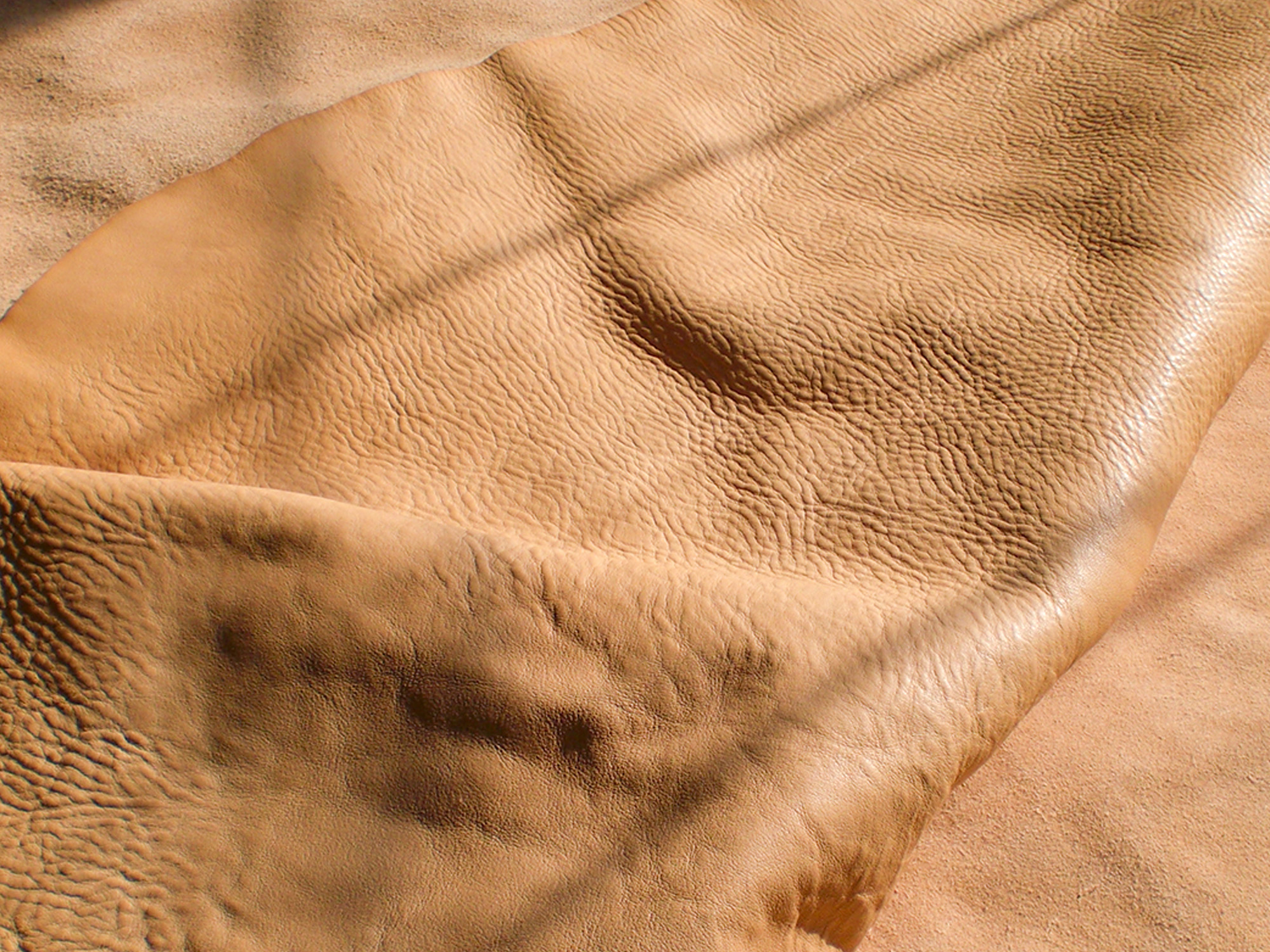 ogp_image_aboutciva-leather.jpg